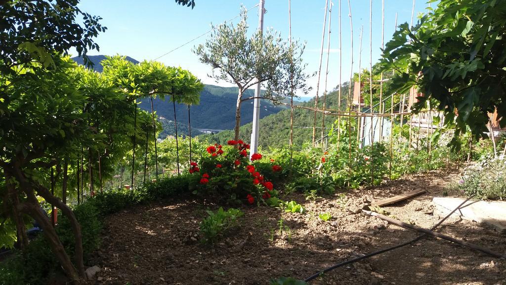 Olivella Caminata N 41G Apartamento Casarza Ligure Exterior foto